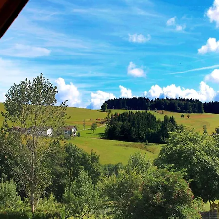 Alpine In Herrischried, Cleaning Included Appartement