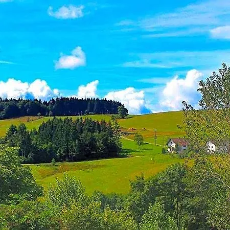 Apartamento Alpine In Herrischried, Cleaning Included *