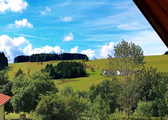 Alpine In Herrischried, Cleaning Included * Herrischried