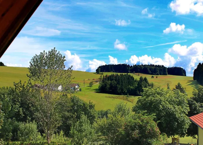 Alpine In Herrischried, Cleaning Included شقة